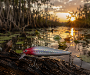 Fiskedrag Silver/Röd 10g